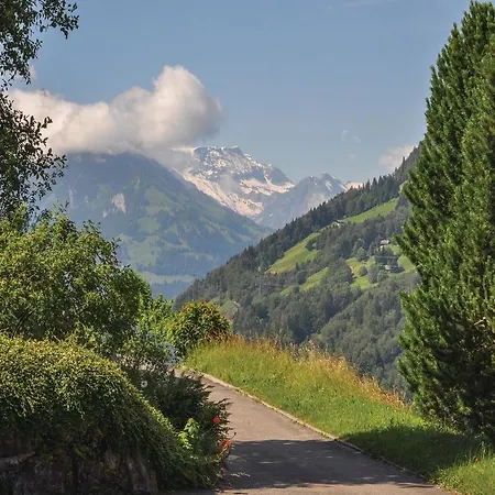 Talblick
